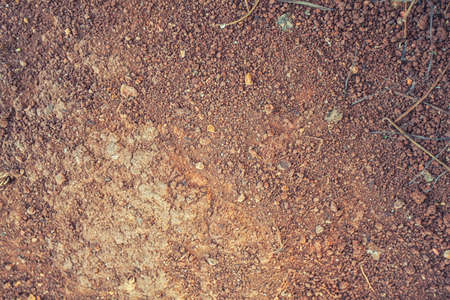 Topsoil Texture Backgroundの写真素材