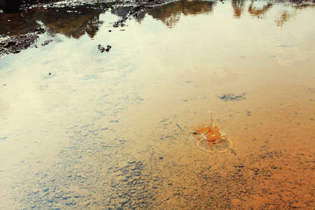 Water splash in the puddle