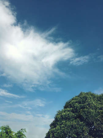 panorama landscape