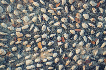 cement stone track for massage the soles of the feetの写真素材