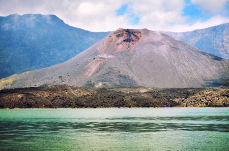 mountain puppies at the center of the lakeの写真素材
