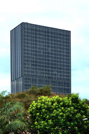 Outdoor photography of Skyscraper building facade with plants in front of buildingの写真素材