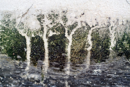 Mold and Stain Patterns on Old Concrete Wallの写真素材
