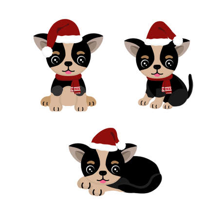 Cute Dog in Christmas hat.のイラスト素材