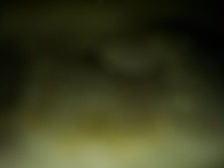 Conceptual black dark texture with different elements. Background with abstract effectsの写真素材