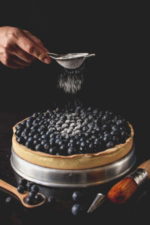 Blueberries Tartの写真素材