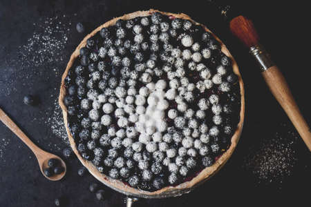 Blueberries Tartの写真素材