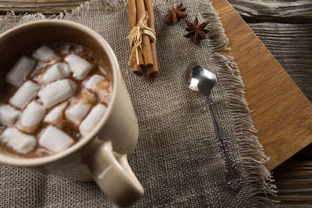 Cocoa, Marshmallow and cinnamon on rustic table