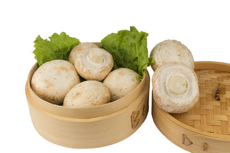 White mushrooms in a bamboo round container.の写真素材