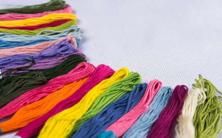 Colored thread for embroidery on white canvas