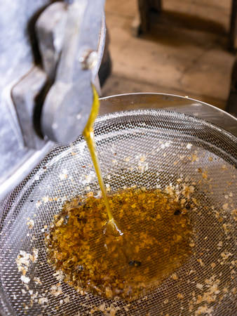 Fresh honey pouring out from the honey extractor.の写真素材