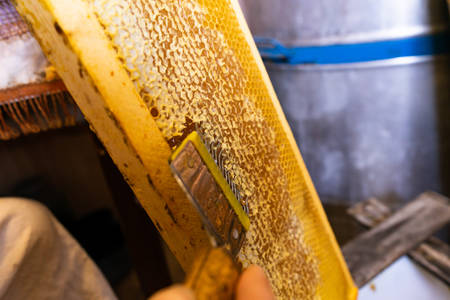 Printout of honeycombs, tool for opening honeycombs. Copy pasteの写真素材