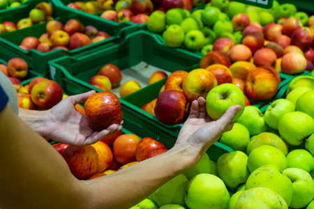 The girl chooses apples in the supermarket.の写真素材