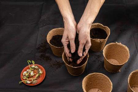 Soil in the hands of women, peat flower pot. Copy space