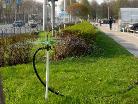 Grass Watering. Smart garden activated with full automatic sprinkler irrigation system. Watering lawn. Sprinkler head watering. Gardening conceptの写真素材