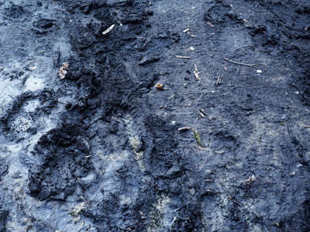 Footprint or imprint shoe in the mud. Numerous different footprints of people boots in wet dirt on ground road.の写真素材