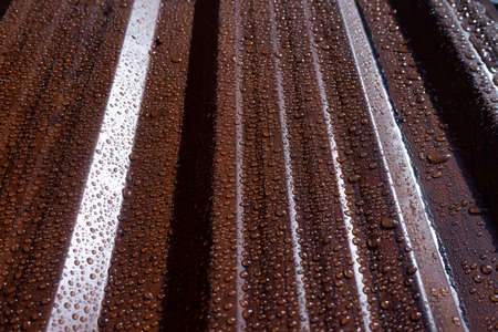Raindrops on the metal profile sheet. Brown profiled metal sheet with dew drops.の写真素材