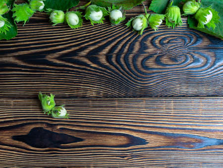 A green hazelnut with leaves lies on a brown wooden table. Copy space.の写真素材
