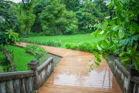 Wooden walkway or footpath with green leaves surrounded with bush and plants at public park.の写真素材
