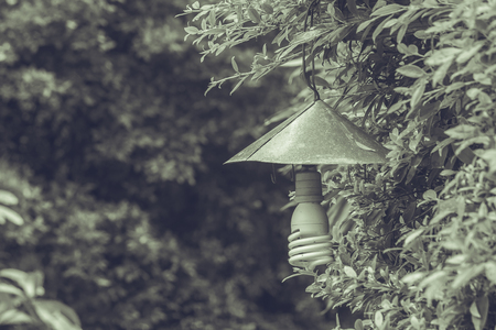 Vintage lamp hanging on green branch trees at outdoor garden in vintage style.の写真素材