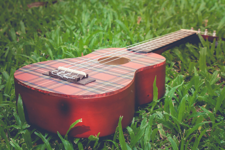 Abstract image close up of musical instrument ukulele guitar on green grass in vintage style. (Selective focus)の写真素材