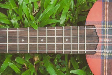 Abstract image close up of musical instrument ukulele guitar on green grass in vintage style. (Selective focus)の写真素材