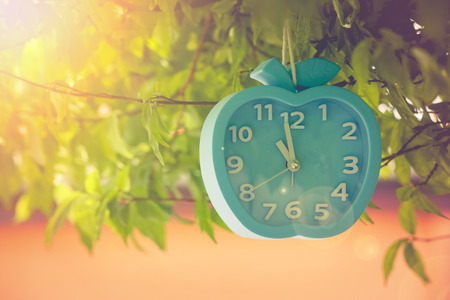 Time Management Concept : Alarm clock hanging on green branches tree at outdoor garden. (Soft focus)の写真素材