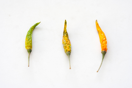 Dried whole colorful chilli isolated on white background. (Selective focus)の写真素材