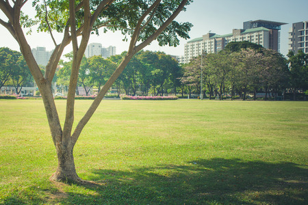 Beautiful green grass meadow field in public park with city buildings in the background.の写真素材