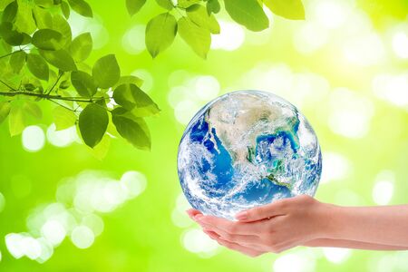 Ecology Concept : Woman hand holding planet earth globe with green natural in background.の写真素材