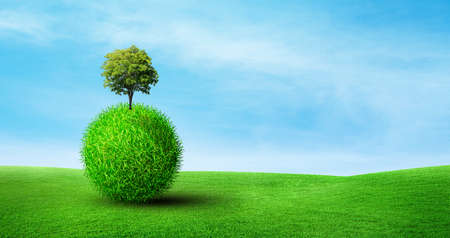 Green Earth and Ecology Concept : Tree growth on green grass sphere shape in blue background.の写真素材