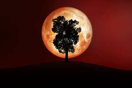 Full Moon in space with silhouette of tree on hill.