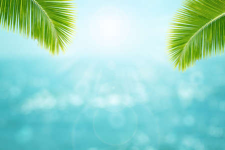 Summer Vacation and Holiday Trip Concept : Green leaves of coconut tree with blurry image seascape...