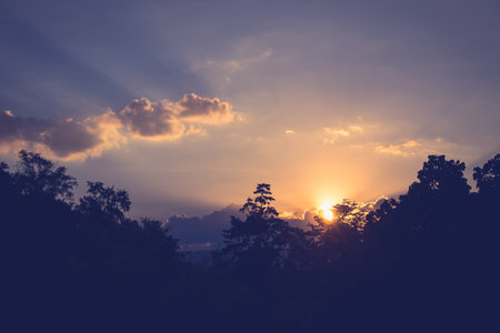 Beautiful landscape view of Silhouette trees in twilight time of sunset at countryside.
