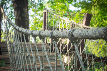 Selective focus of Rope handling of walkway bridge hanging on trees.