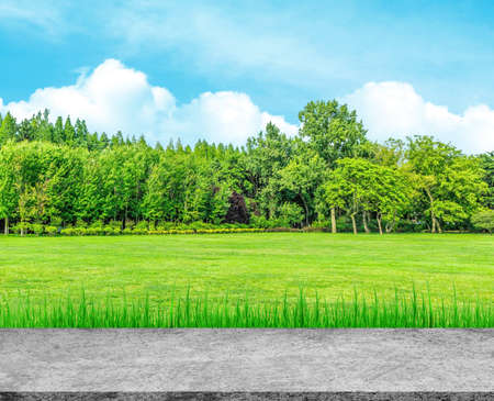 Concrete footpath or walkway with green park in background.の写真素材