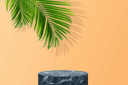 Empty space studio room of Black marble stage with green palm leaves and shadow on wall.の写真素材