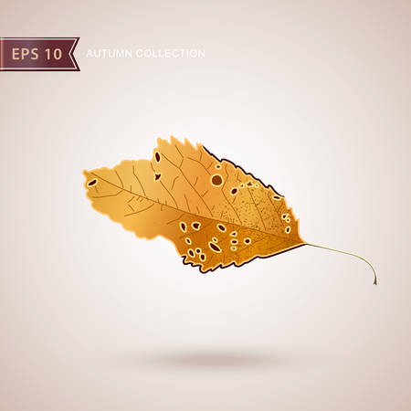 Autumn falling leaves. Leaf fall. Autumn design. Vector illustrationのイラスト素材