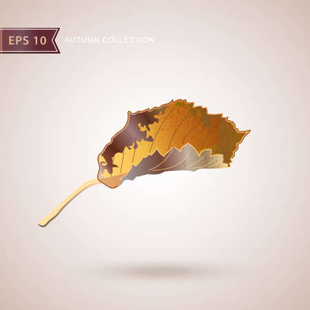 Autumn falling leaves. Leaf fall. Autumn design. Vector illustrationのイラスト素材