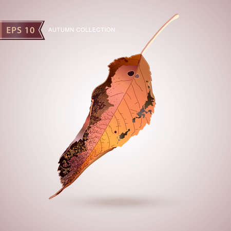 Autumn falling leaves. Leaf fall. Autumn design. Vector illustrationのイラスト素材
