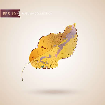 Autumn falling leaves. Leaf fall. Autumn design. Vector illustrationのイラスト素材