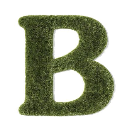 grass font - letter bの写真素材