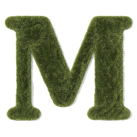 grass font - letter mの写真素材