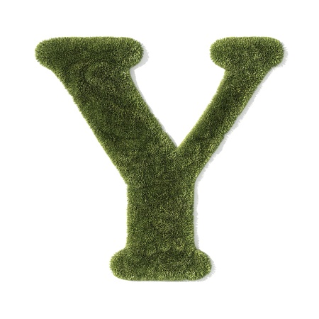 grass font - letter yの写真素材