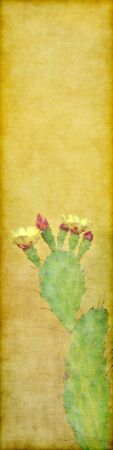 painting with cactus in bloom on grunge background with empty space for textの写真素材