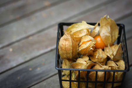 Physalis or Chinese lantern fruit decorated on a wooden tableの写真素材