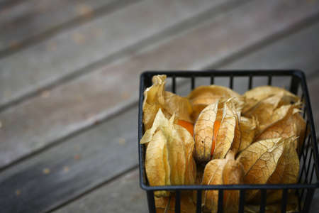 Physalis or Chinese lantern fruit decorated on a wooden tableの写真素材