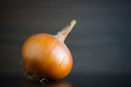 Bulb onion in a closeup view in front of a wooden background