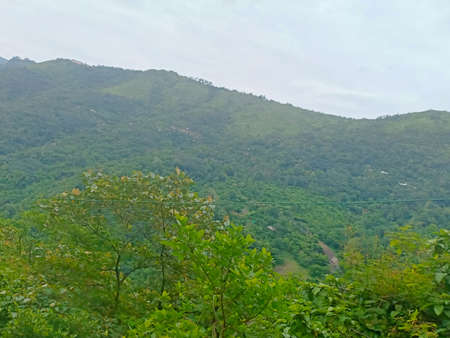 a high range mountain and trees a view from idukki indiaの写真素材