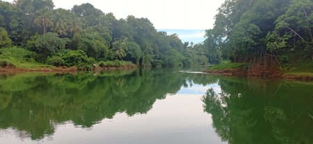 a view of meenachil river in keralaの写真素材